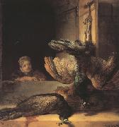 REMBRANDT Harmenszoon van Rijn Still life with two dead Peacocks and a Girl (mk33) oil painting picture wholesale